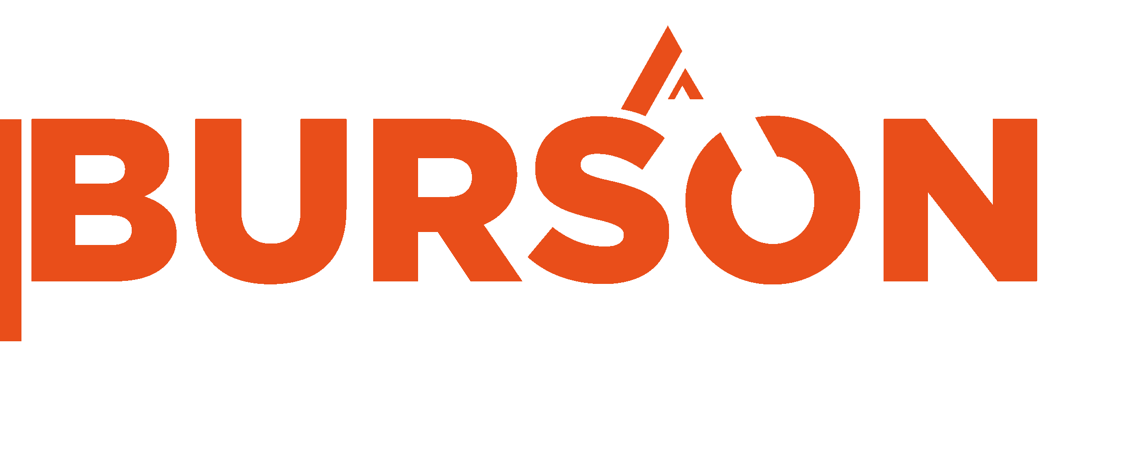 BURSON Laurent